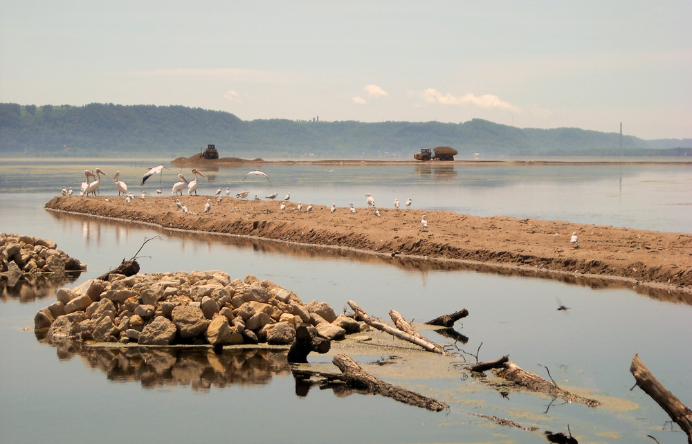 This image is of formations in water of a rock and log structure in the foreground, a finger of land stretching in horizontally from the left with pelicans on it, and another thin strip of land in the background, followed by a misty horizon of trees.